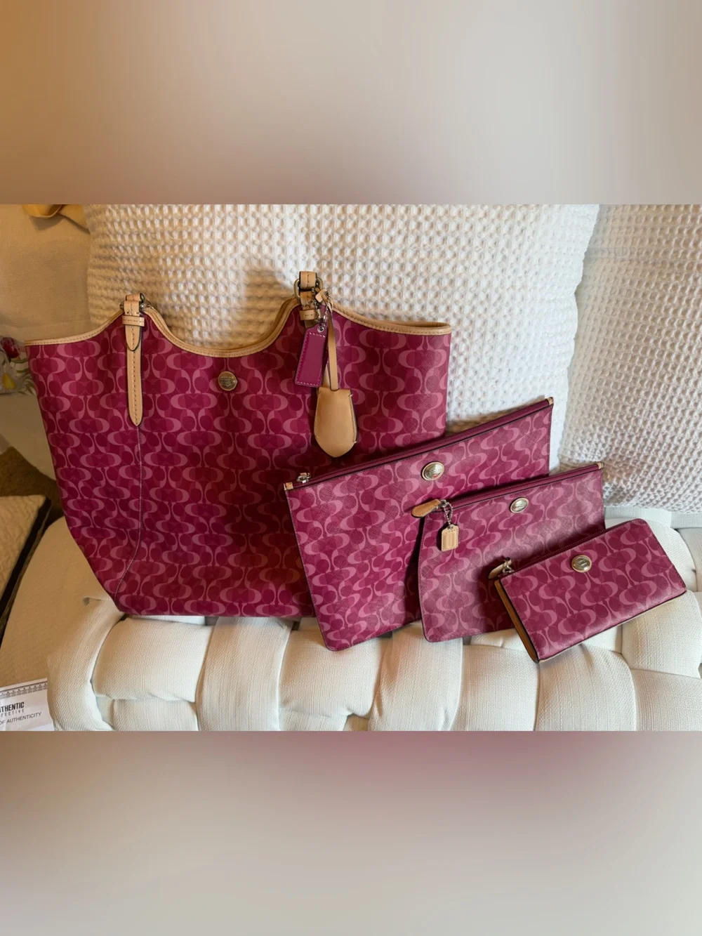 Coach Payton dream C tote set